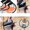 Collar-isabelino-para-perros-aviso