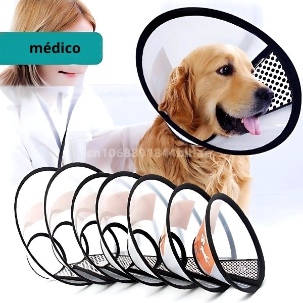 Collar-isabelino-para-perros-médico