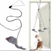 Juguete-colgante-interactivo-para-gato-puerta