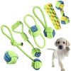Juguetes-de-cuerda-para-Perro-presentación-juego