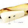 Juguete-carpa-interactivo-para-gato-usb-interuptor