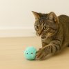gato-peluche-verde