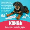 kong-antidestrucción