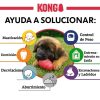 kong-perro-ayuda-solucionar