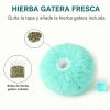 pelota-gatera-herbia-gatera