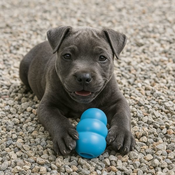 perro-juguete-kong-puppy