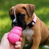 perro-kong-puppy-rosa