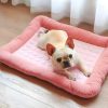 Almohadilla-rosa-refrescante-para perros-tres-talla-presentación