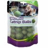 pelotas-de-catnip-para-gatos-presentación