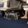 Transportadora-gris-para-gato-avion