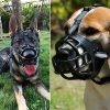 Bozal-suave-y ajustable-para-perros