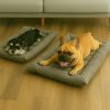 Cama-gris-3-en-1-para-Perro-presentación