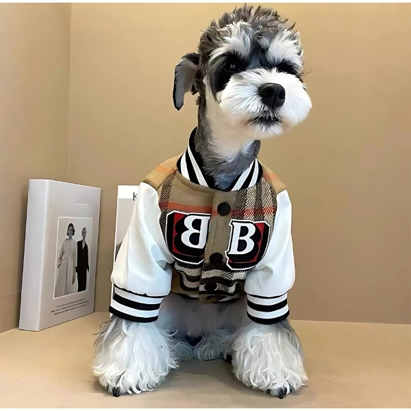 Chamarra-baseball-para-perro-2