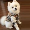 Chamarra-elegante-para-perro-blanco