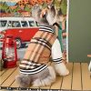 Chamarra-elegante-para-perro-espalda