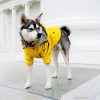 Impermeable-para-perro-amarillo-presentación