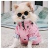 Impermeable-para-perro-rosa-pequeño-gafas