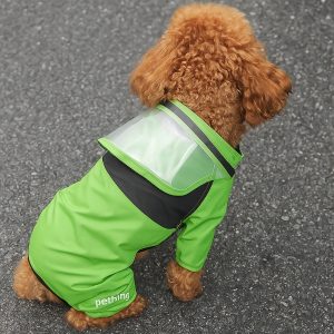 Impermeable-verde-para-perro-con-capucha-transparente-espalda