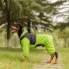 Impermeable-verde-para-perro-con-capucha-transparente-grande