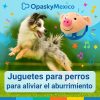 Juguete-azul-cerdito-saltarín-para-perro-mascotas-salto