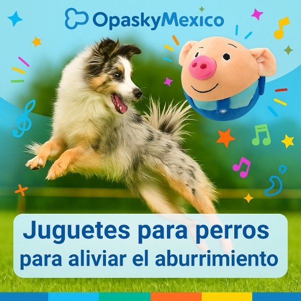 Juguete-azul-cerdito-saltarín-para-perro-mascotas-salto