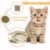 Juguete-carp-interactivo-para-gato-catnip-cremallera