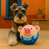 Juguete-cerdito-saltarín-para-perro-azul-presentación