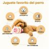 Juguete-cerdito-saltarín-para-perro-deportes