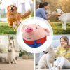 Juguete-cerdito-saltarín-para-perro-multi-perro