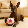 Juguete-cerdito-saltarín-para-perro-rojo-presentación