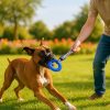 Juguete-para-morder-perro-azul-presentación