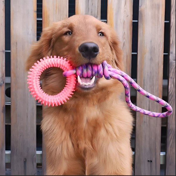 Juguete-para-morder-perro-rosa-retriever