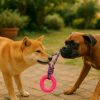 Juguete-rosa-para-morder-perro-que-disparan
