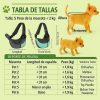 Mochila-turquesa-para-Perros-Pequeños-talla