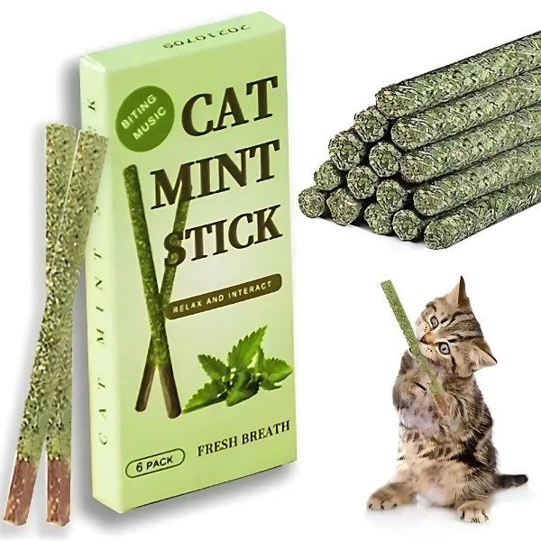 catnip-de-Matatabi-natural-para-gato-presentación