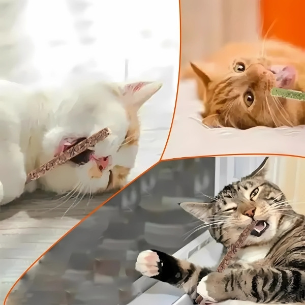 Palo-de-Matatabi-natural-para-gato-tres-gatos