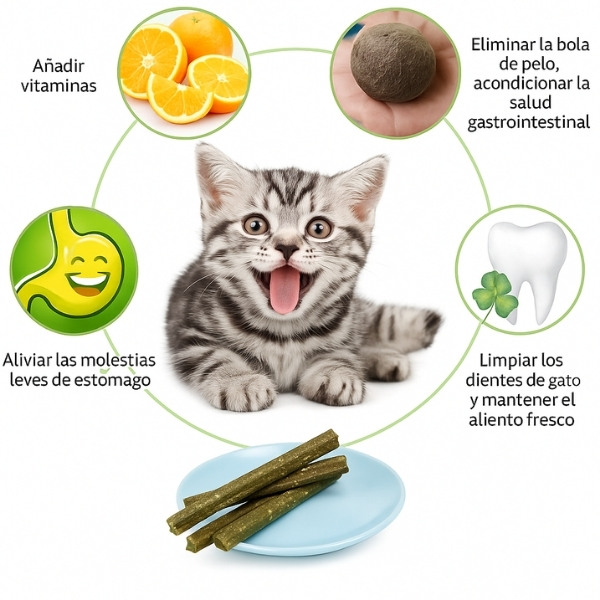 Palo-de-Matatabi-natural-para-gato-vitaminas
