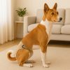 Pañal-higiénico-blanco-para-perro-presentación