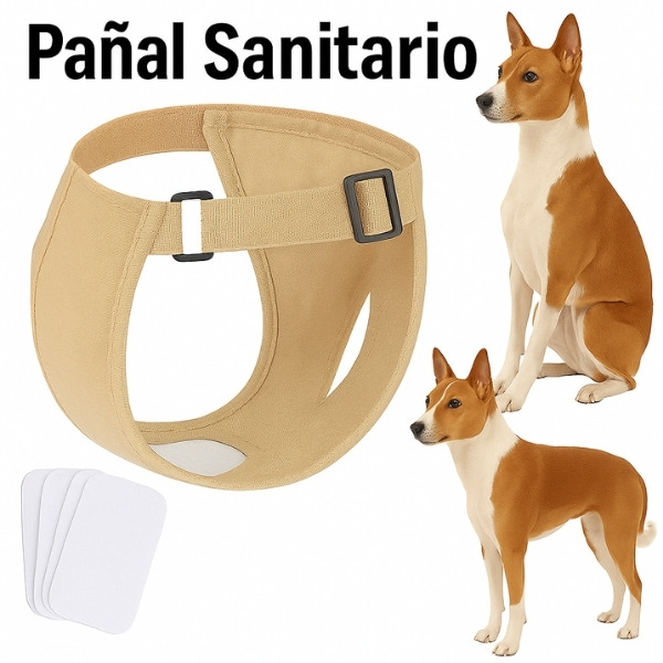 Pañal-higiénico-blanco-para-perro-presentación-sanitorio