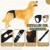 Pañal-higiénico-para-perro-detalles