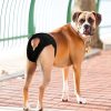 Pañal-higiénico-para-perro-detras