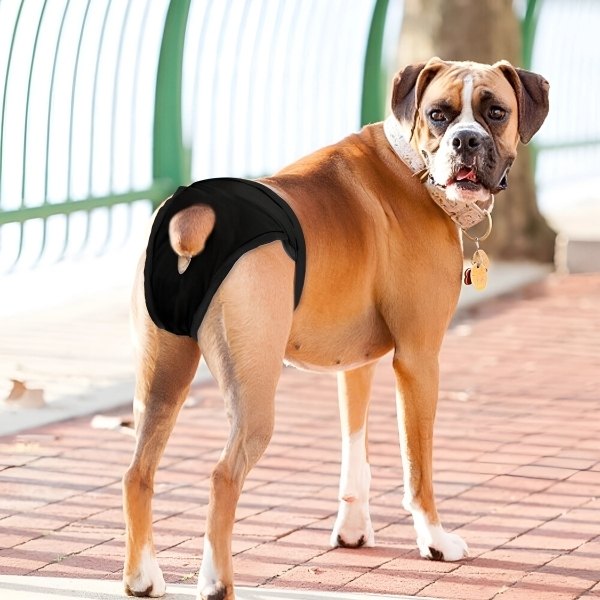 Pañal-higiénico-para-perro-detras