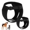 Pañal-higiénico-para-perro-doble-perro