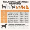 Pañal-higiénico-para-perro-talla