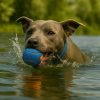 Pelota-Chuckit-azul-agua