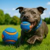 Pelota-Chuckit-azul-presentacion