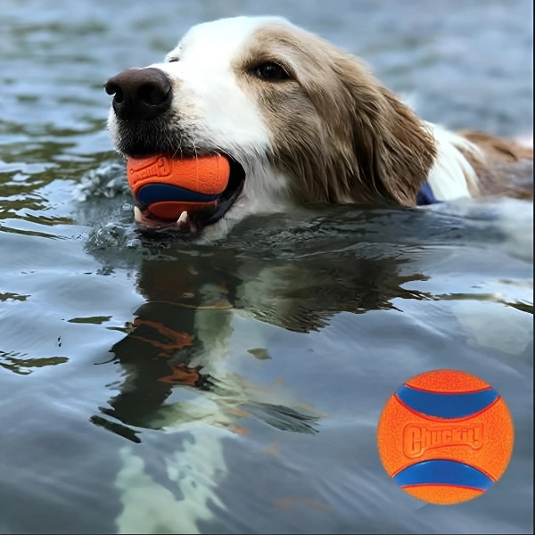 Pelota-Chuckit-naranja-agua