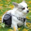 Porta-Bolsas-gris-para-Popó-de-Perro-parque