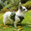 Porta-Bolsas-verde-para-Popó-de-Perro-presentación