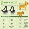mochila-gris-para-Perro-Pequeño-talla